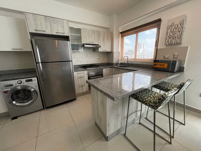 Apartamento en Alquiler en Piantini Amueblado de UNA Habitación - Imagen 5
