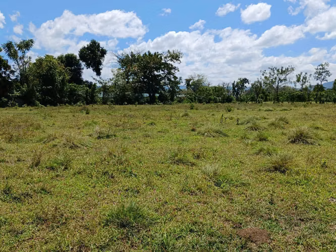 Terreno en Venta Miches