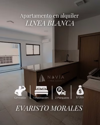 Apartamentos en alquiler en el millón y Evaristo Morales - Imagen 4
