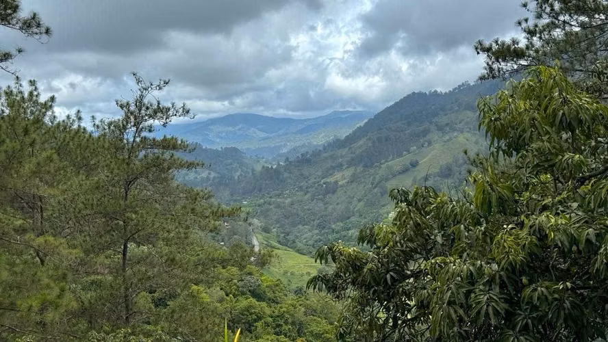 VENDO 39 TAREAS PARA DESARROLLO EN JARABACOA - Imagen 2