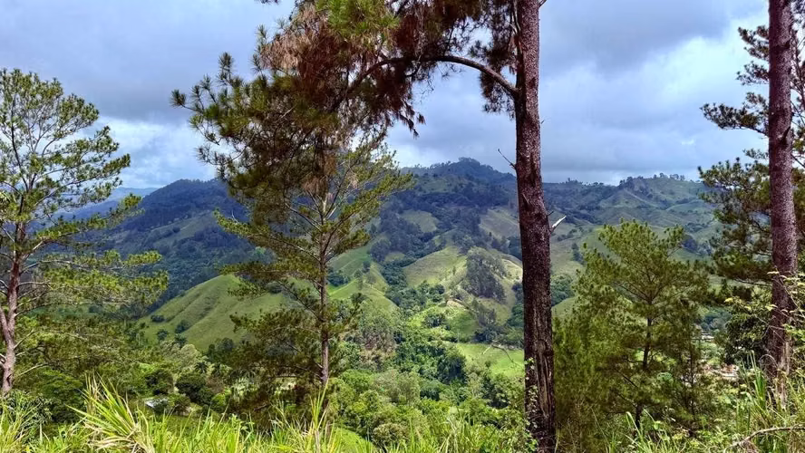 VENDO 39 TAREAS PARA DESARROLLO EN JARABACOA - Imagen 6