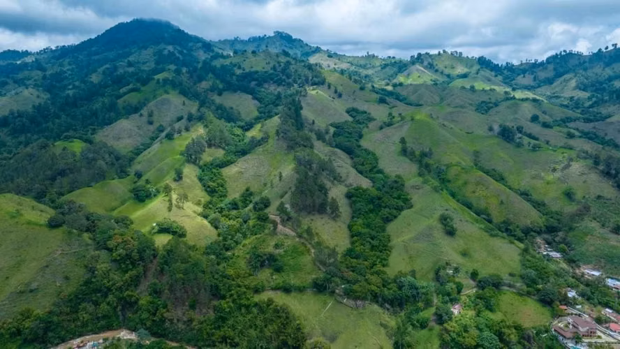 VENDO 39 TAREAS PARA DESARROLLO EN JARABACOA - Imagen 4