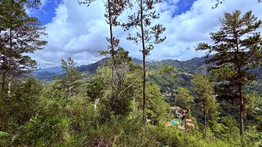 VENDO 39 TAREAS PARA DESARROLLO EN JARABACOA - Imagen 3