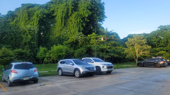 Apartamento en Venta en La Jacobo Majluta - Imagen 2