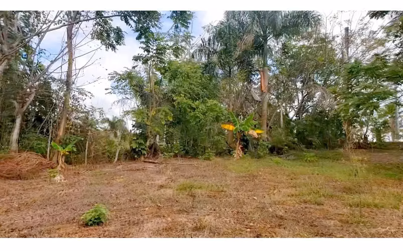 400 TERRENO EN LA CUABA / PEDRO BRAND, SANTO DOMINGO - Imagen 3
