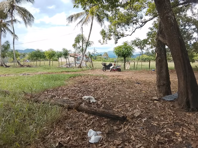 FINCA DE 90 TAREAS DE VENTA EN BONAO - Imagen 5