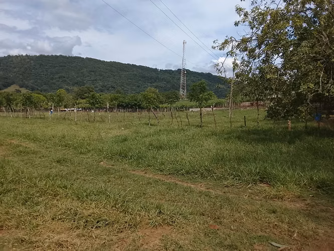 FINCA DE 90 TAREAS DE VENTA EN BONAO - Imagen 3