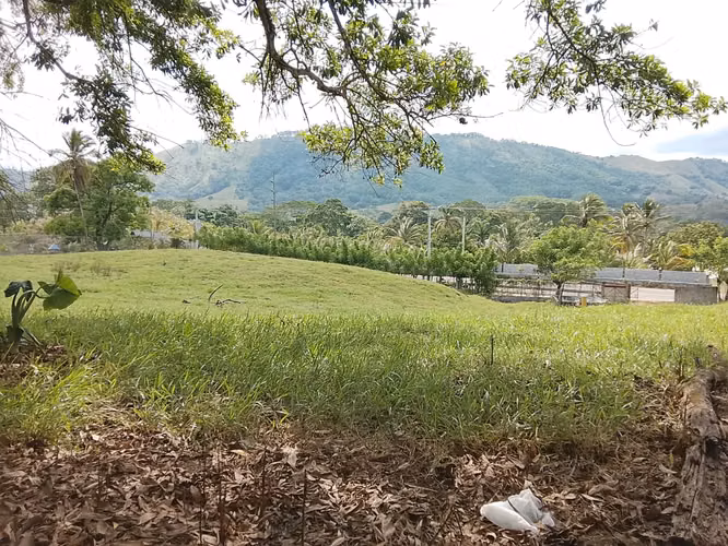 FINCA DE 90 TAREAS DE VENTA EN BONAO - Imagen 4