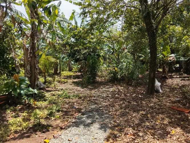 TERRENO DE VENTA EN BONAO