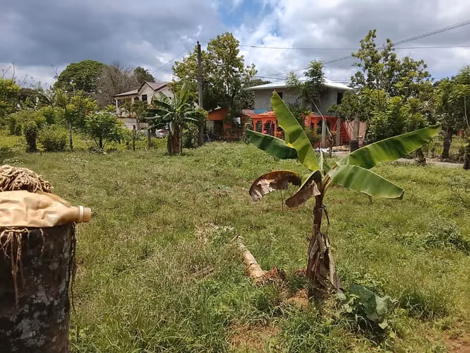 TERRENO DE VENTA EN BONAO