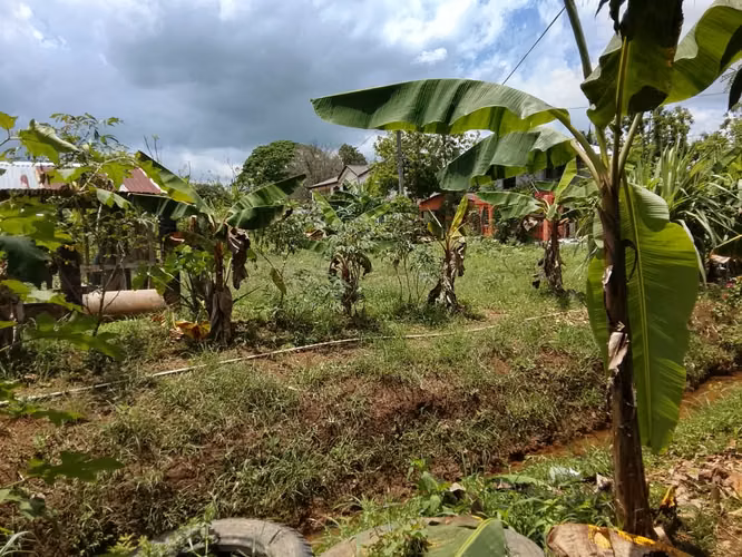 TERRENO DE VENTA EN BONAO
