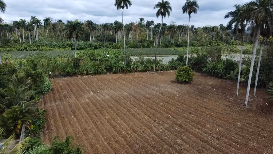 TERRENO DE 8 TAREAS DE VENTA EN BONAO