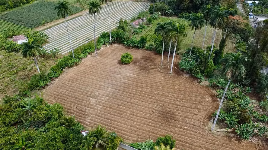 TERRENO DE 8 TAREAS DE VENTA EN BONAO