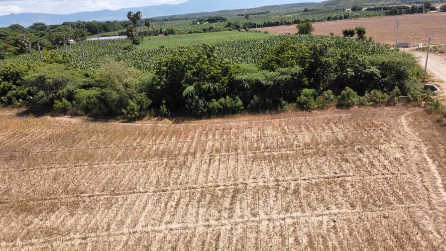 420 TERRENO EN FINCA SABANA GRANDE, MAO - Imagen 7