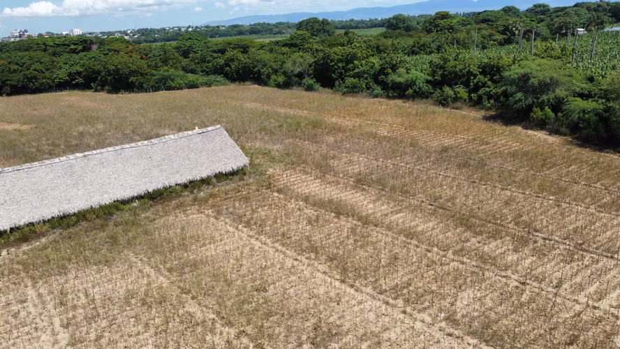420 TERRENO EN FINCA SABANA GRANDE, MAO - Imagen 6