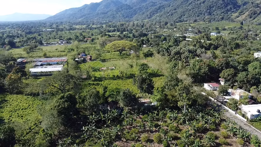 FINCA DE 30 TAREAS DE VENTA  EN FULA BONAO - Imagen 5