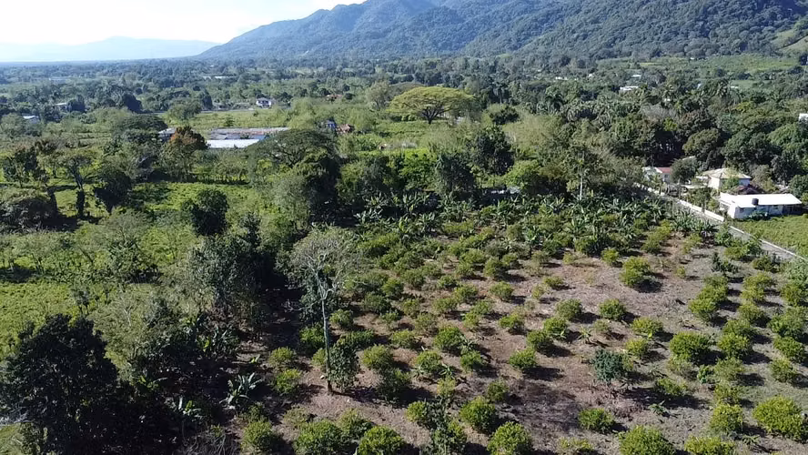 FINCA DE 30 TAREAS DE VENTA  EN FULA BONAO - Imagen 8