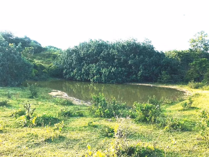 Terreno en Venta Las Terrenas