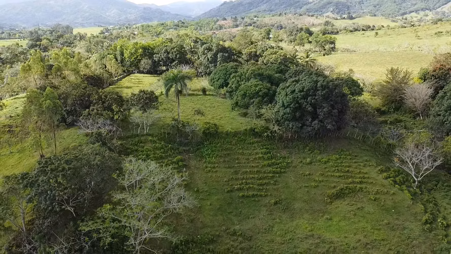 FINCA DE 25 TAREAS DE VENTA EN BONAO