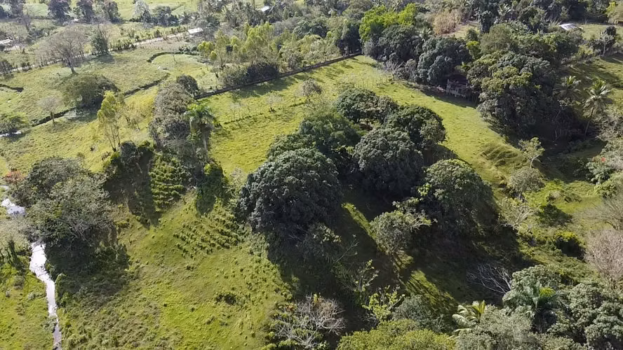 FINCA DE 25 TAREAS DE VENTA EN BONAO