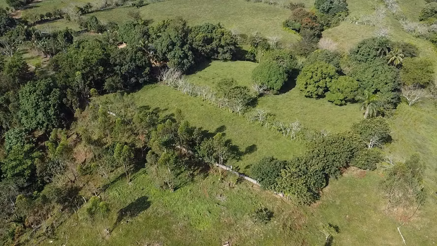 FINCA DE 25 TAREAS DE VENTA EN BONAO