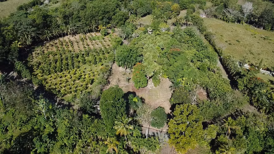 TERRENO DE 16 TAREAS DE VENTA EN VILLA ALTAGRACIA - Imagen 4