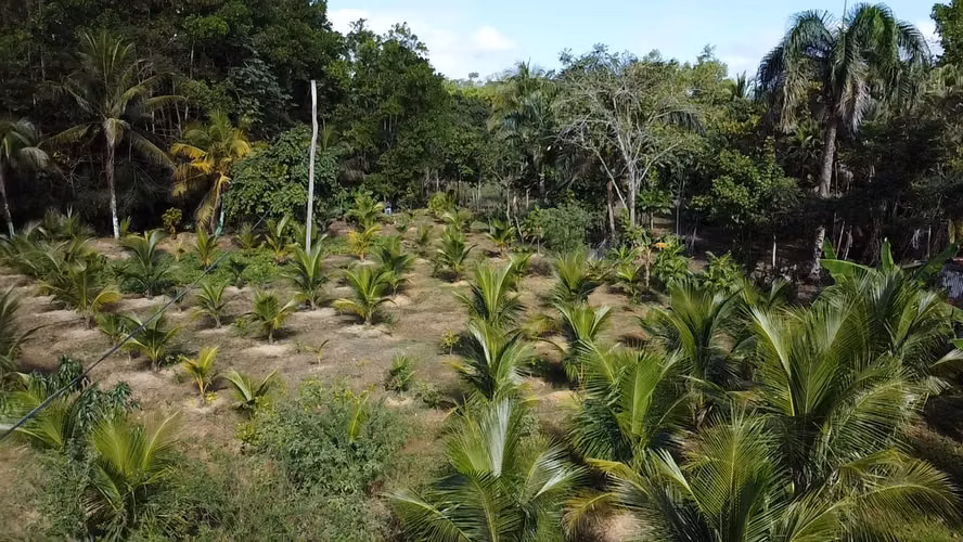 TERRENO DE 16 TAREAS DE VENTA EN VILLA ALTAGRACIA - Imagen 3