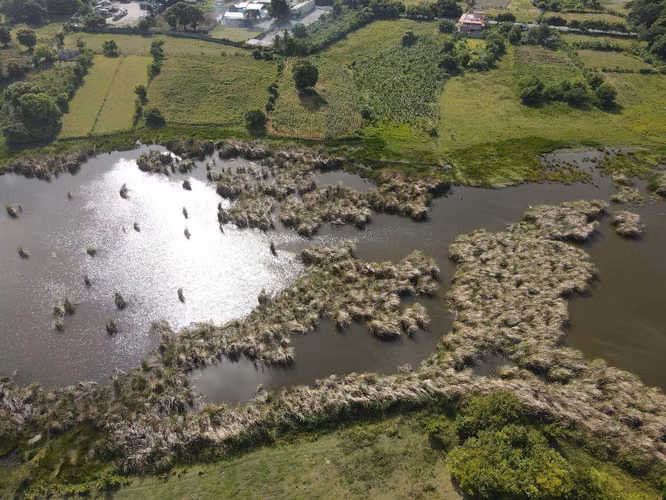 Terreno en venta – Nizao / Don Gregorio, Baní