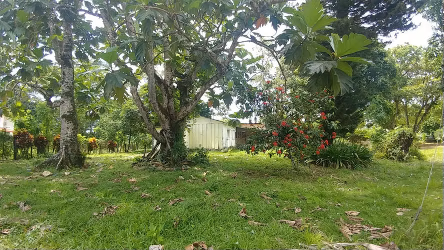 Terreno en Venta en Yuboa - Imagen 7