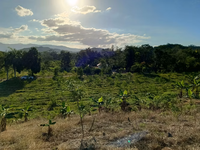 FINCA 202 TAREAS DE VENTA EN BONAO
