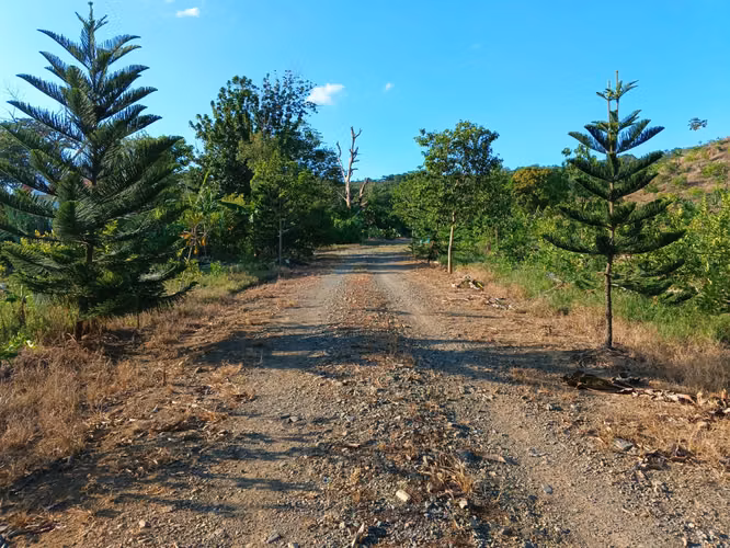 FINCA 202 TAREAS DE VENTA EN BONAO