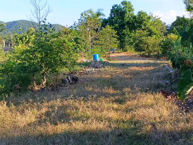 FINCA 202 TAREAS DE VENTA EN BONAO