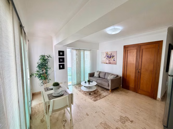 Apartamento Amueblado en Venta en Naco