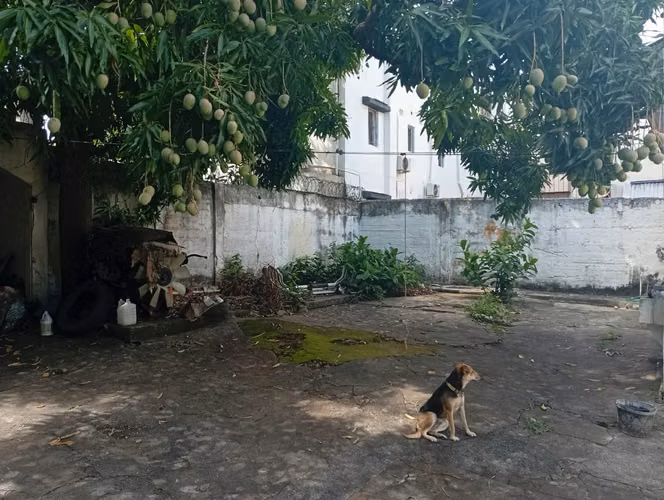 Vendo casa / sola en Gazcue - Imagen 5