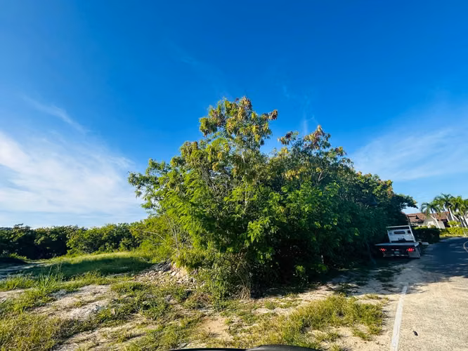 433 TERRENO EN LAS LAGUNAS DE CAP CANA, PUNTA CANA - Imagen 3