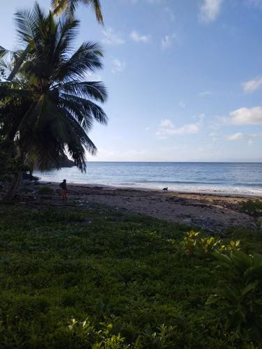 437 HOTEL EN SAMANÁ