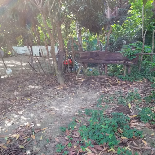445 SOLAR EN SABANA GRANDE, PUERTO PLATA - Imagen 2