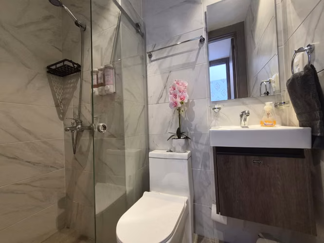 Apartamento en alquiler Bella vista, 2 hab, Amoblado
