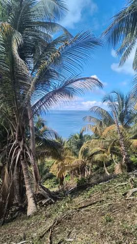 Terreno de venta en Samana con vista al Mar - Imagen 3