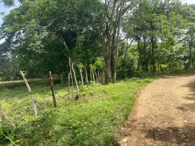 Vendo Finca GANADERA – AGRICOLA de 50 tareas en DON JUAN, MONTE PLATA
