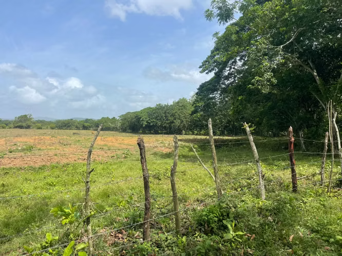 Vendo Finca GANADERA – AGRICOLA de 50 tareas en DON JUAN, MONTE PLATA