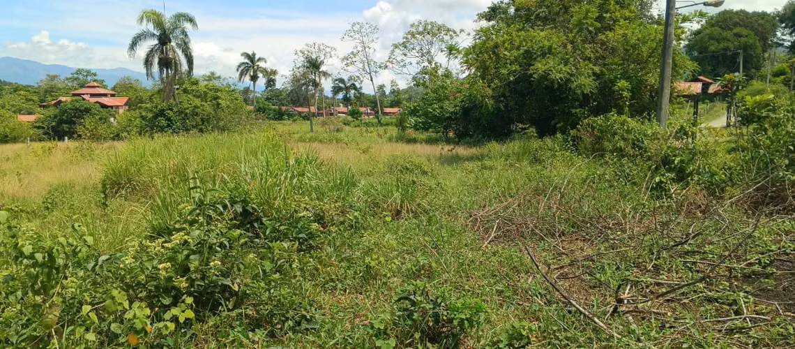 SOLAR DE VENTA EN HERMOSO PROYECTO DE BONAO - Imagen 5