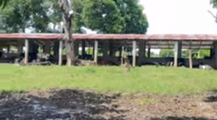 Vendo SUPER Finca Ganadera y Agrícola, 300 Tareas en Don Juan, Monte Plata