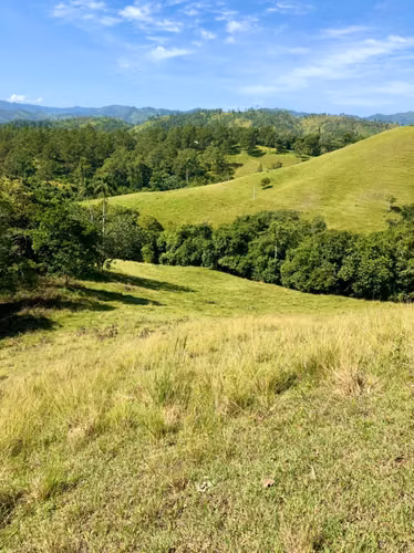 SOLARES DE VENTA EN JARABACOA - Imagen 7
