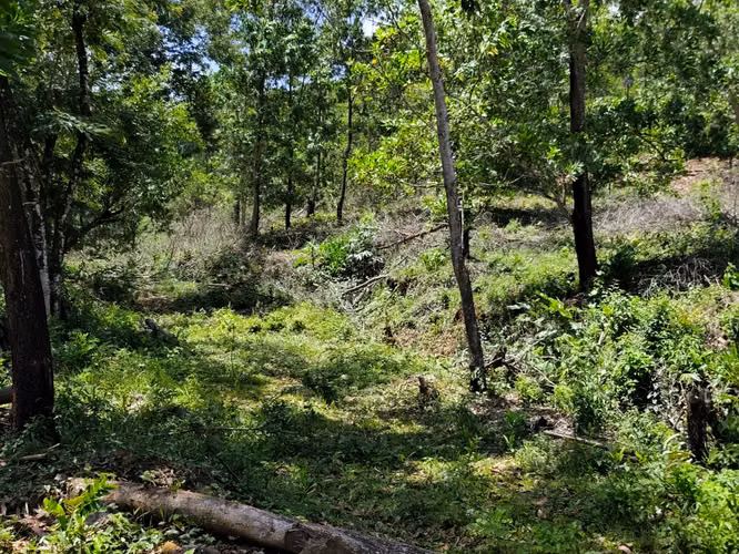 SOLAR DE VENTA EN HERMOSO PROYECTO DE BONAO - Imagen 7