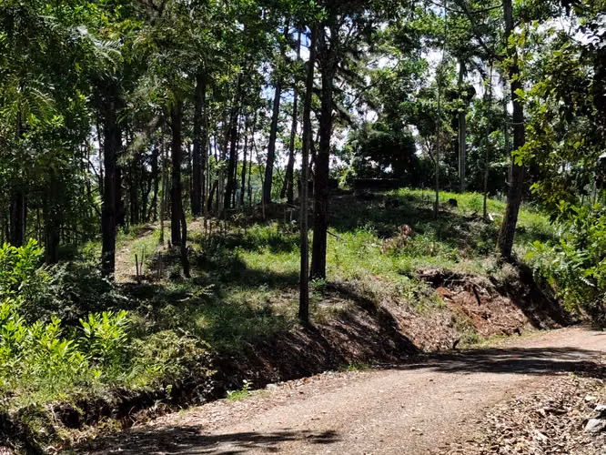SOLAR DE VENTA EN HERMOSO PROYECTO DE BONAO - Imagen 6