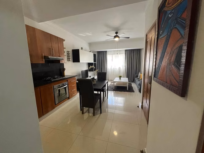 Excelente Apartamento Amueblado, 1 Habitación, Piantini - Imagen 5