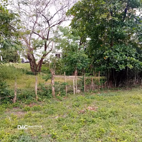 LAND FOR SALE IN MAIMÓN, PUERTO PLATA REPÚBLICA DOMINICANA - Imagen 4