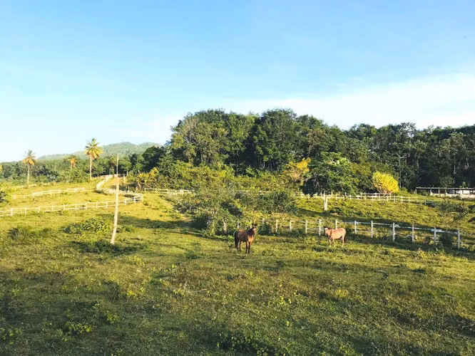 Terreno en Venta Las Terrenas - Imagen 3