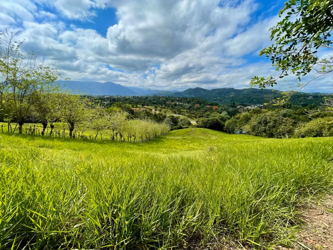 TERRENOS DE VENTA EN JARABACOA